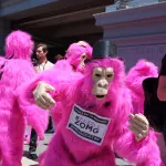 San Francisco Bay to Breakers