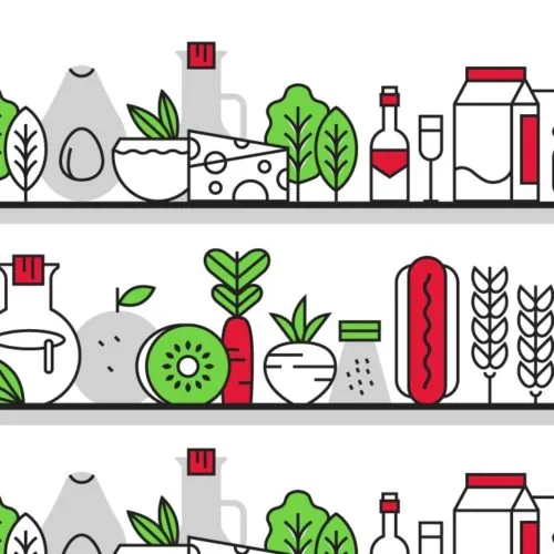 What’s the Difference Between a Ketogenic Diet and a Paleo Diet? What’s the Difference Between a Ketogenic Diet and a Paleo Diet?