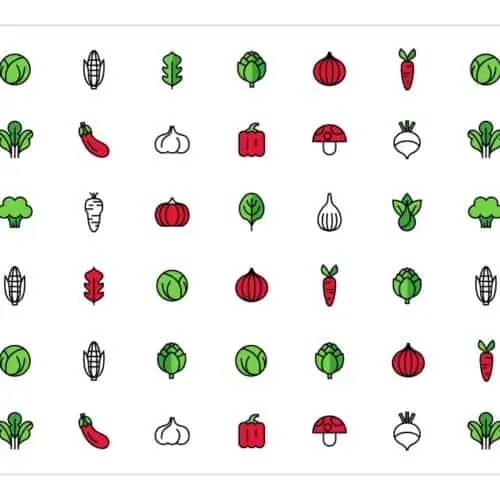 Seasonal Eats: Which Produce is in Season & When Seasonal Eats: Which Produce is in Season & When