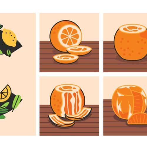 Brighten Up Winter with Citrus Brighten Up Winter with Citrus