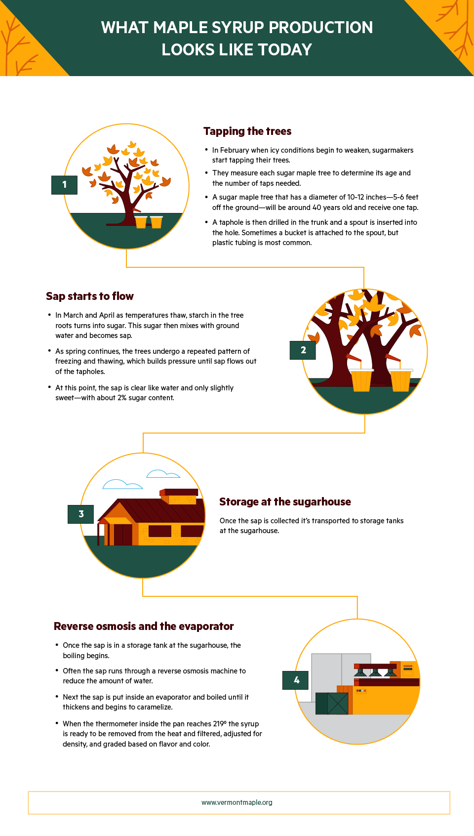 Maple Syrup Production