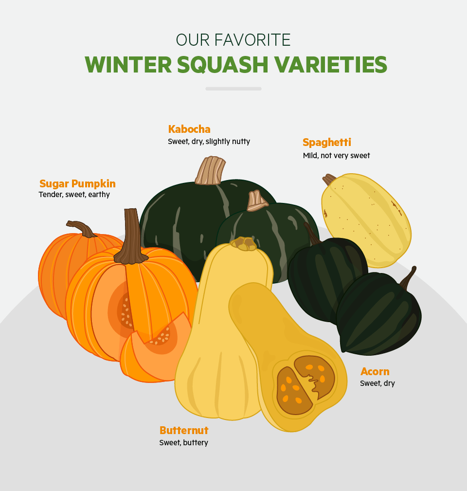 Favorite Winter Squash Varieties
