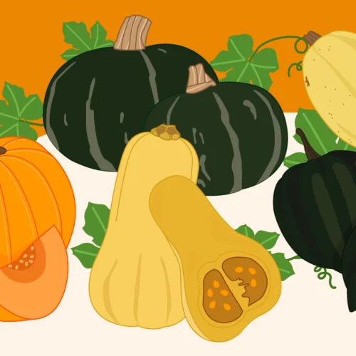 Winter Squash Dishes to Try This Fall Winter Squash Dishes to Try This Fall