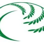 Rice Around the Mediterranean World