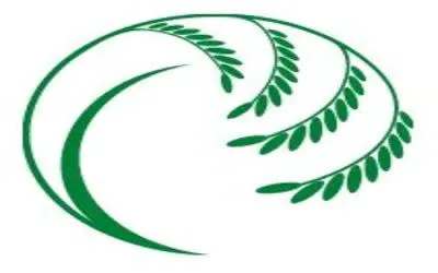 Rice Around the Mediterranean World