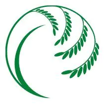 Rice Around the World Rice Around the World