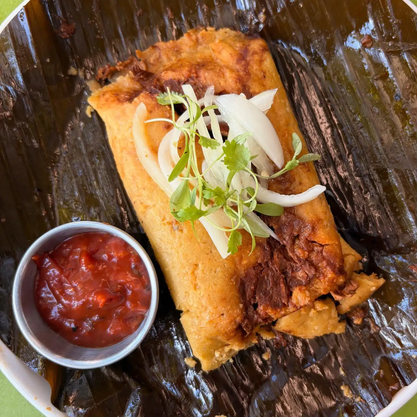 Nopalito authentic Mexican cuisine with tacos and mole