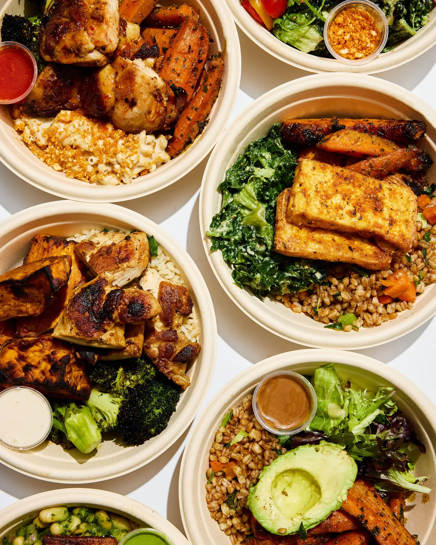 Dig seasonal vegetable bowls and plates for corporate catering in Boston