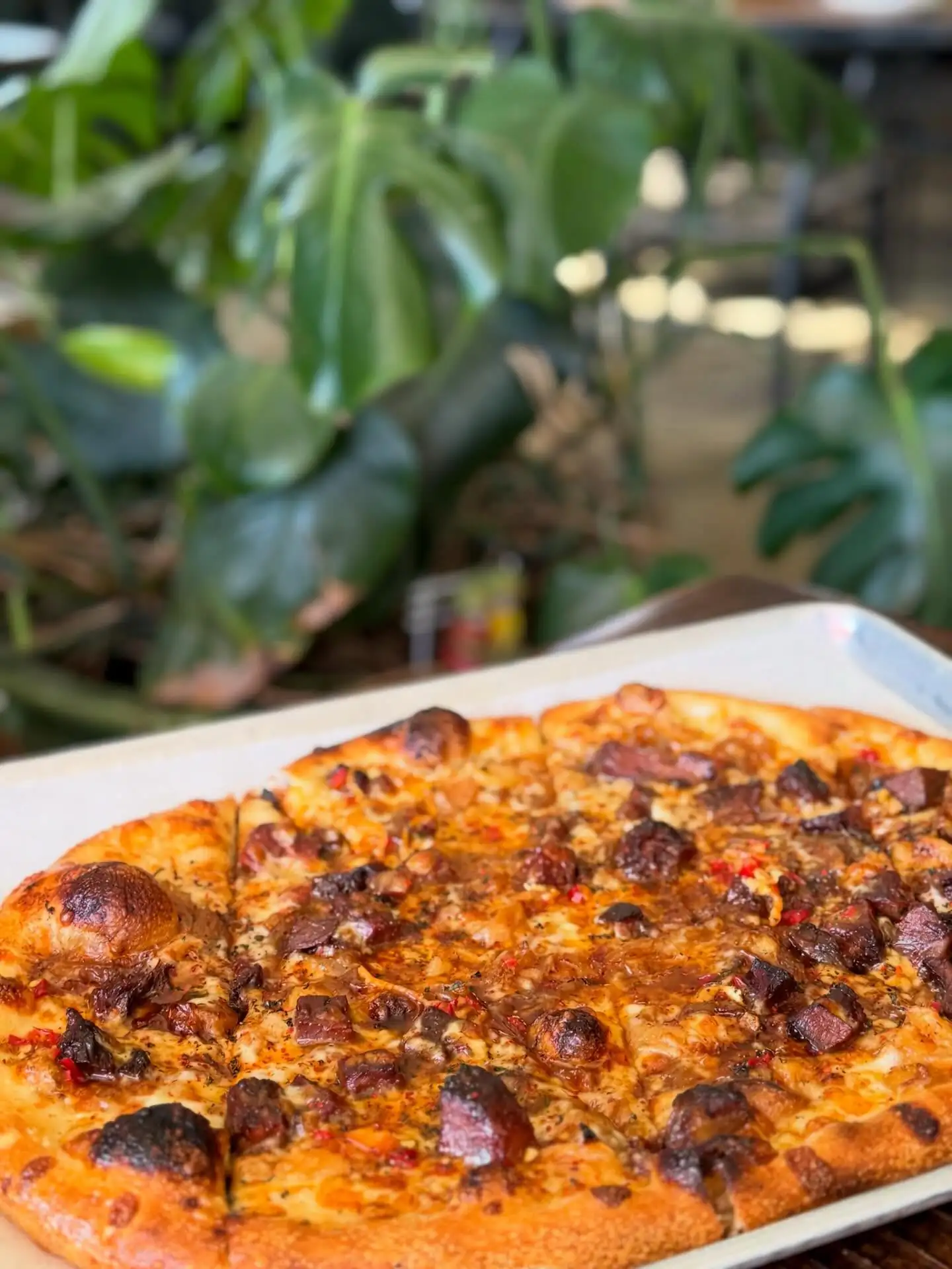 Dovetail Pizza wood-fired pizzas and pasta for Austin corporate catering