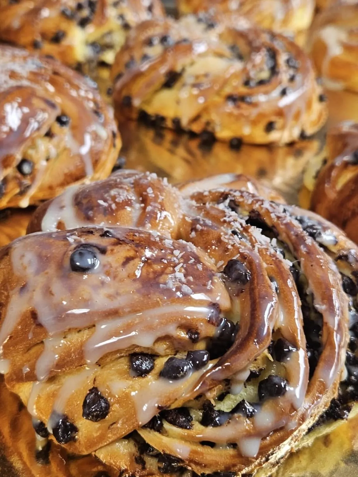 Oasis Brazilian Steakhouse churrasco meats for corporate event catering