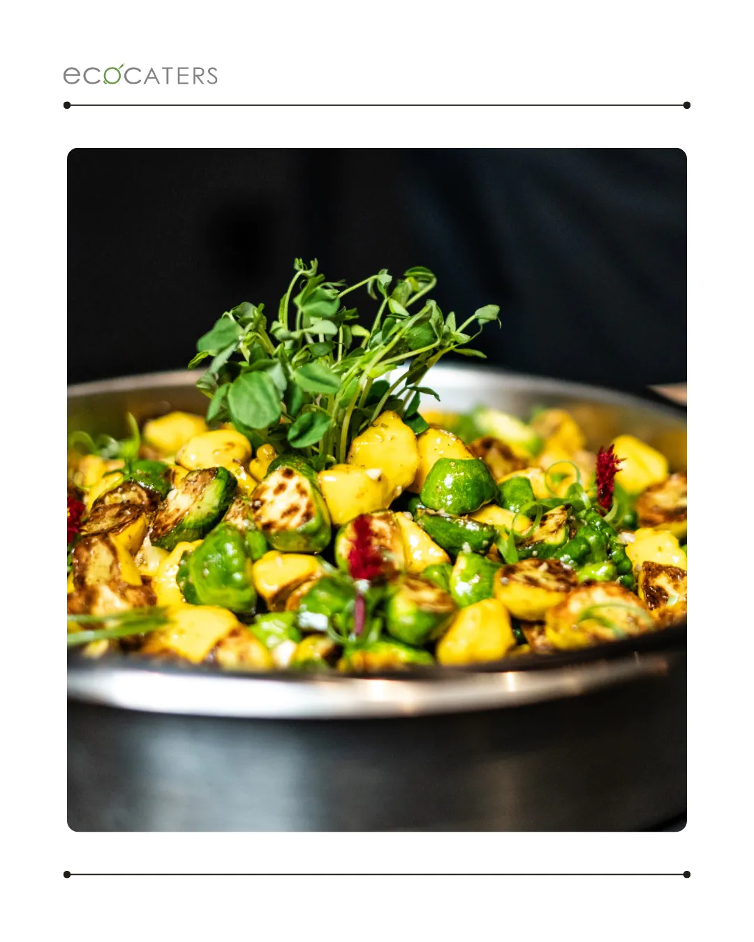 EcoCaters organic catering spread with locally sourced dishes and sustainable packaging