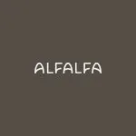 Alfalfa - Larchmont