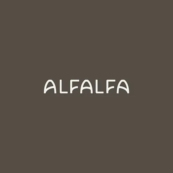 Alfalfa – Larchmont Alfalfa – Larchmont
