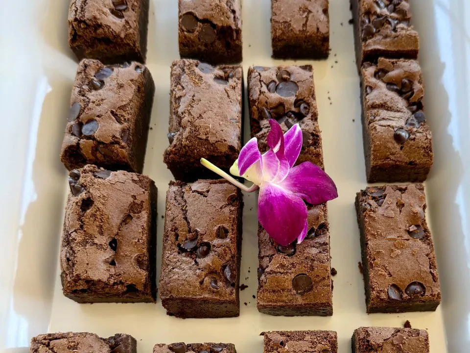 Overhead view of chocolate chip brownie squares arranged in rows on a white catering platter