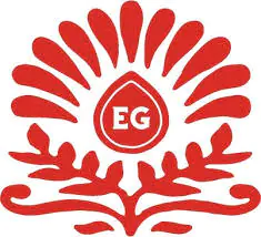 Electric Gravy Electric Gravy